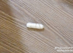 Ստացվել էին օպերատիվ տեղեկություններ «Գորիս» քրեակատարողական հիմնարկ թմրամիջոցի ներթափանցման մասին