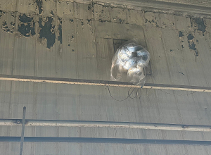 Սանիտարահիգիենիկ նորմերի խախտումներ՝ պահածոների արտադրամասում