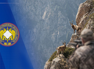 Կարմիր գրքում գրանցված բեզոարյան այծ ապօրինի որսալու դեպքով քրեական վարույթի նախաքննությունն ավարտվել է