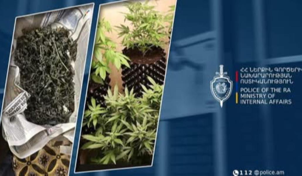 13573590534444029047