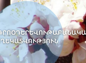 Արարատյան դաշտում դիտվել է ծիրանենու մասսայական ծաղկում