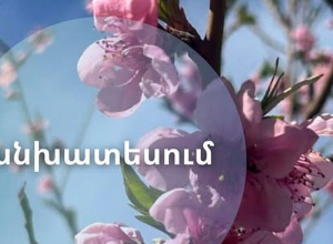 Դեղձենու ծաղկումն Արարատյան դաշտում