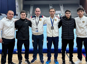 Հայաստանի սպորտային մարմնամարզության հավաքականի անդամների արդյունքները՝ աշխարհի գավաթի խաղարկության վերջին փուլում