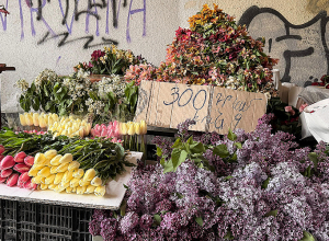 Դեպի Ծիծեռնակաբերդի հուշահամալիր՝ ծաղիկների միջով