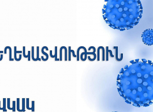 Հանտավիրուսի դեպքեր՝ զբոսանավում. ի՞նչ է հայտնի այս պահին