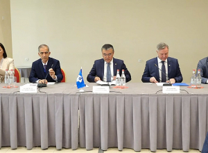 ԱՊՀ դիտորդների ասուլիսը․ ՈՒՂԻՂ