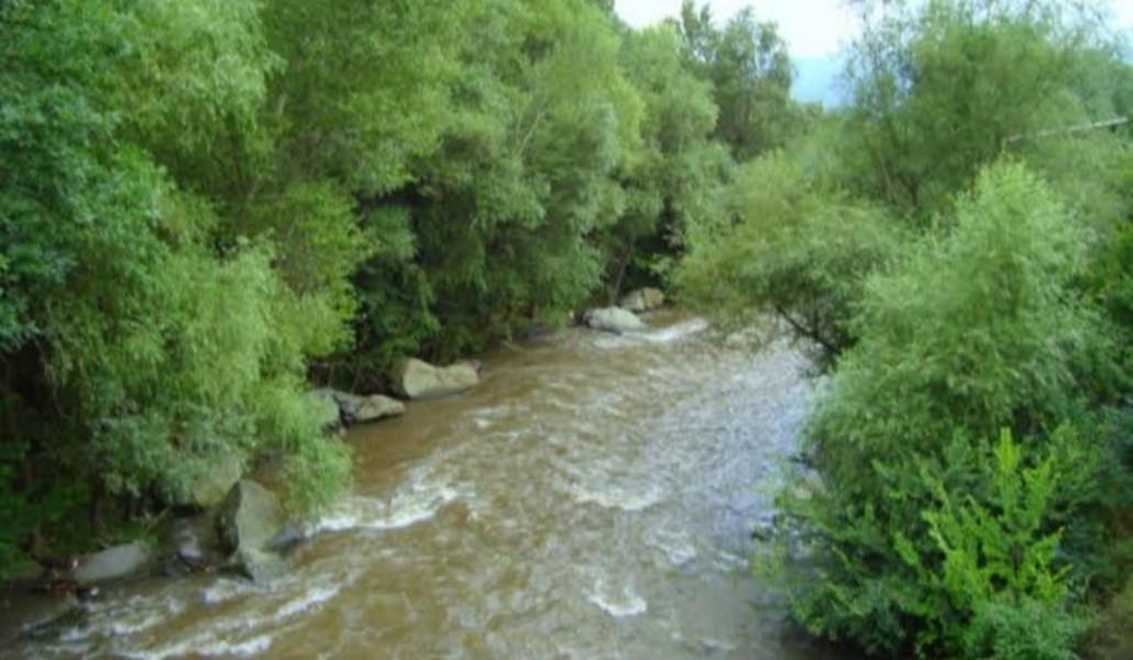 images (7)