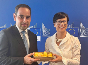 Հայկական ծիրանի առաջին խորհրդանշական խմբաքանակը ժամանել է Եվրամիություն. Կոս