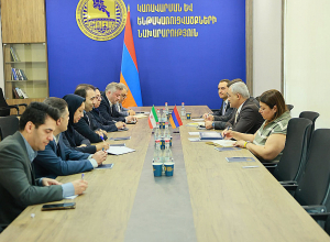 Քննարկվել է Իրան-Հայաստան 400 կՎ էլեկտրահաղորդման օդային գծի և ենթակայանի կառուցման ծրագրի ընթացքը