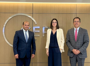 Նարեկ Մկրտչյանը հանդիպում է ունեցել Եվրոպական քաղաքականության վերլուծության կենտրոնի նախագահի հետ