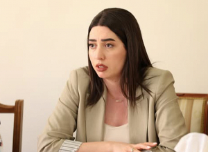 Արփինե Սարգսյանը ոչ բավարար է գնահատել Վայոց ձորի մարզում ապօրինի զենք-զինամթերքի հայտնաբերման ուղղությամբ իրականացված աշխատանքը