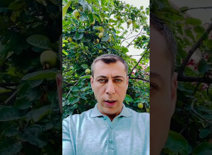 Մեր կոմֆորտային ամառը շարունակվում է. Սուրենյան