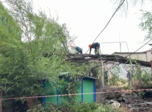Տապալված ծառեր, հեղեղված փողոցներ, կարկուտ՝ Գյումրիում