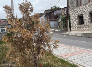 Գեղեցիկ ու կանաչ Գորիսը միայն համայնքի աշխատանքը չէ․ Առուշանյան