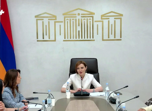 ՀՀ ԱԺ առողջապահության հարցերի մշտական հանձնաժողովի արտահերթ նիստ. ՈՒՂԻՂ
