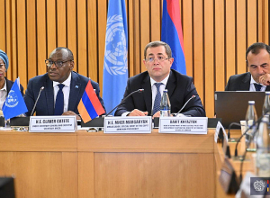 Ադիս Աբեբայում ներկայացվել են COP17-ի աշխատանքները