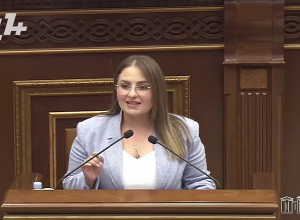 Դուք երիտբոլշևիկներ եք, դուք ունեք նույն թիրախները ինչ-որ թուրքերը․ Վարդանյան