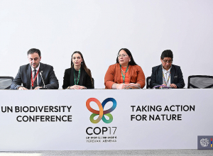 COP17-ի շրջանակում քննարկվել է բնիկ ժողովուրդների ներդրումը կենսաբազմազանության պահպանության գործում