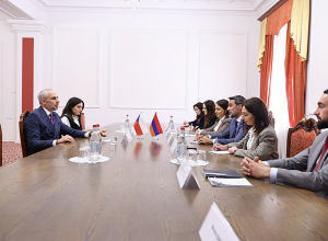 Վարդևանյանը Չեխիայի դեսպանին է ներկայացրել Հայաստանի ներքաղաքական իրավիճակն ու առկա մարտահրավերները