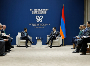 Կարևորվել է Հայաստանի և GEF-ի գործընկերությունը