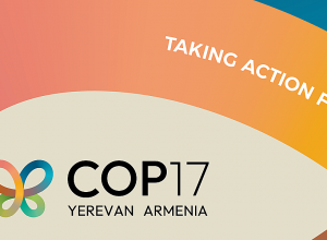 Լրացուցիչ 45 մլն դրամ COP17-ի հետ կապված